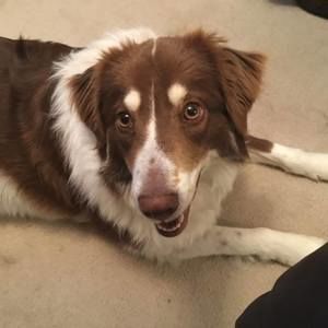 Meet your Posher, Carla